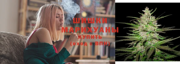 ECSTASY Белокуриха