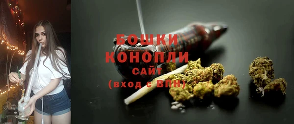 ECSTASY Белокуриха