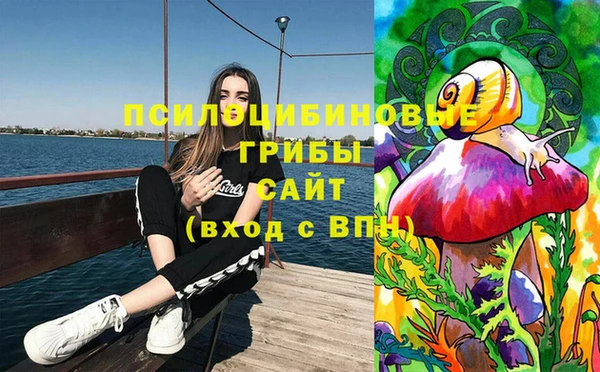 mdma Богородск
