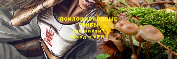 ECSTASY Белокуриха